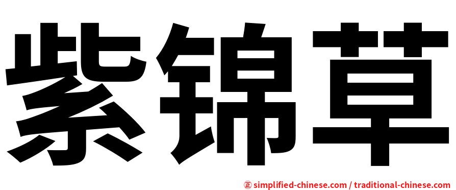 紫锦草