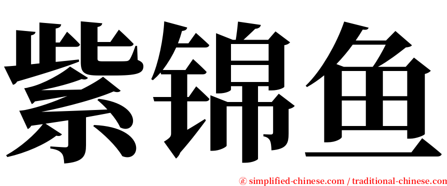 紫锦鱼 serif font