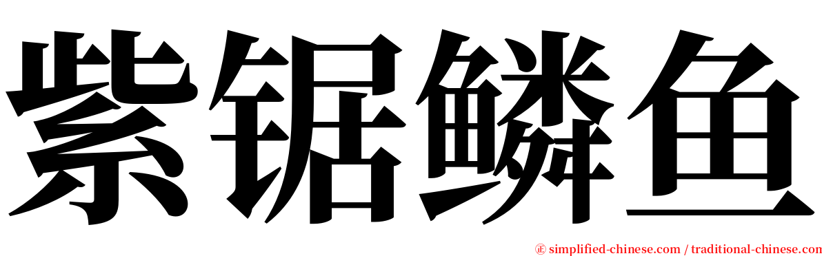 紫锯鳞鱼 serif font