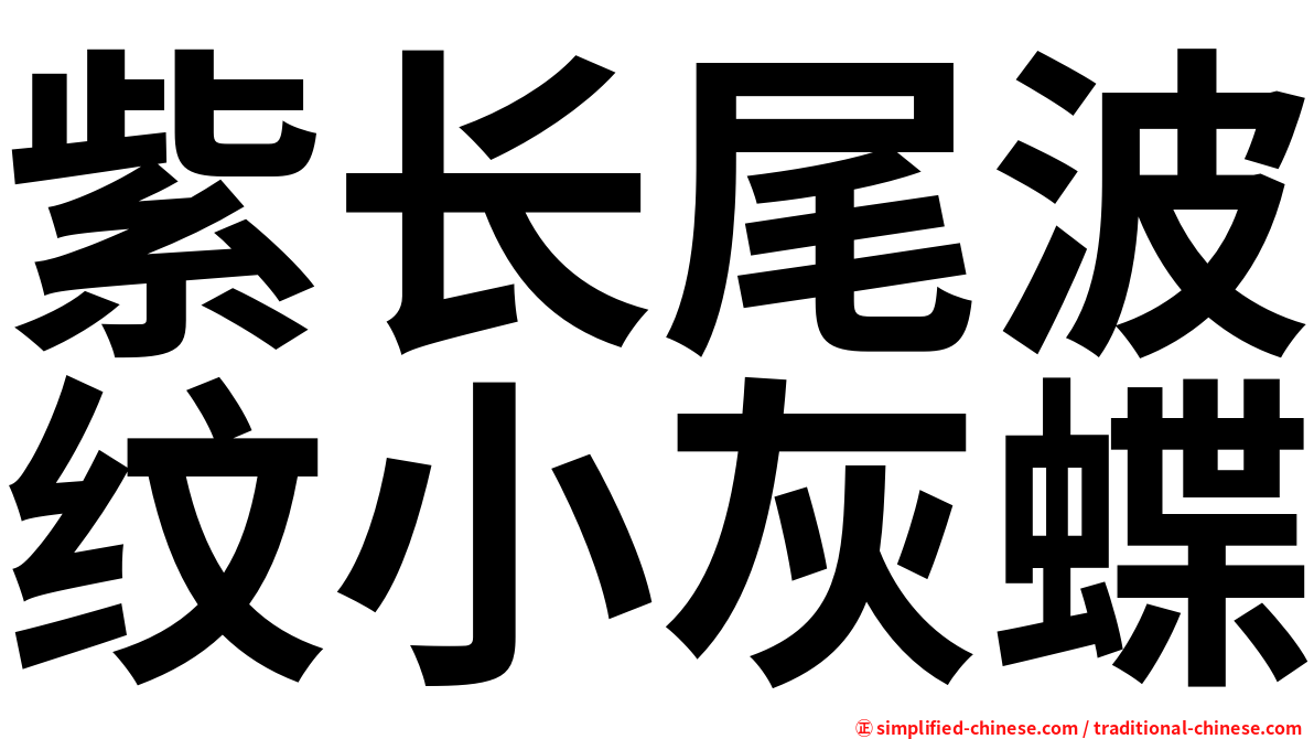 紫长尾波纹小灰蝶