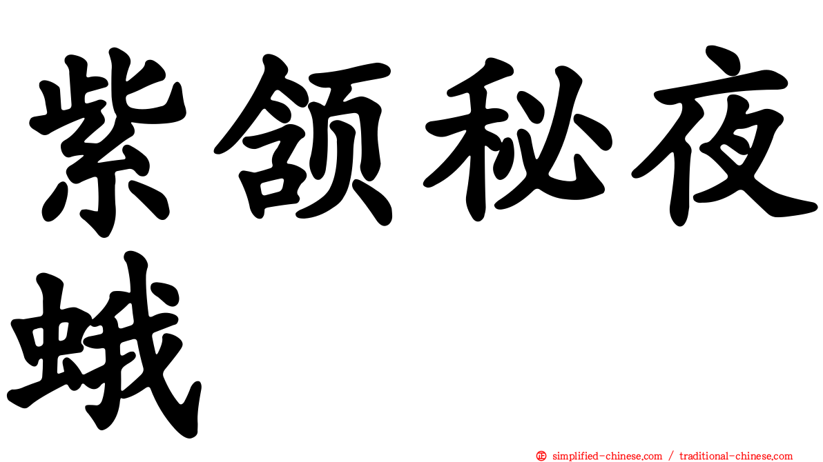 紫颔秘夜蛾