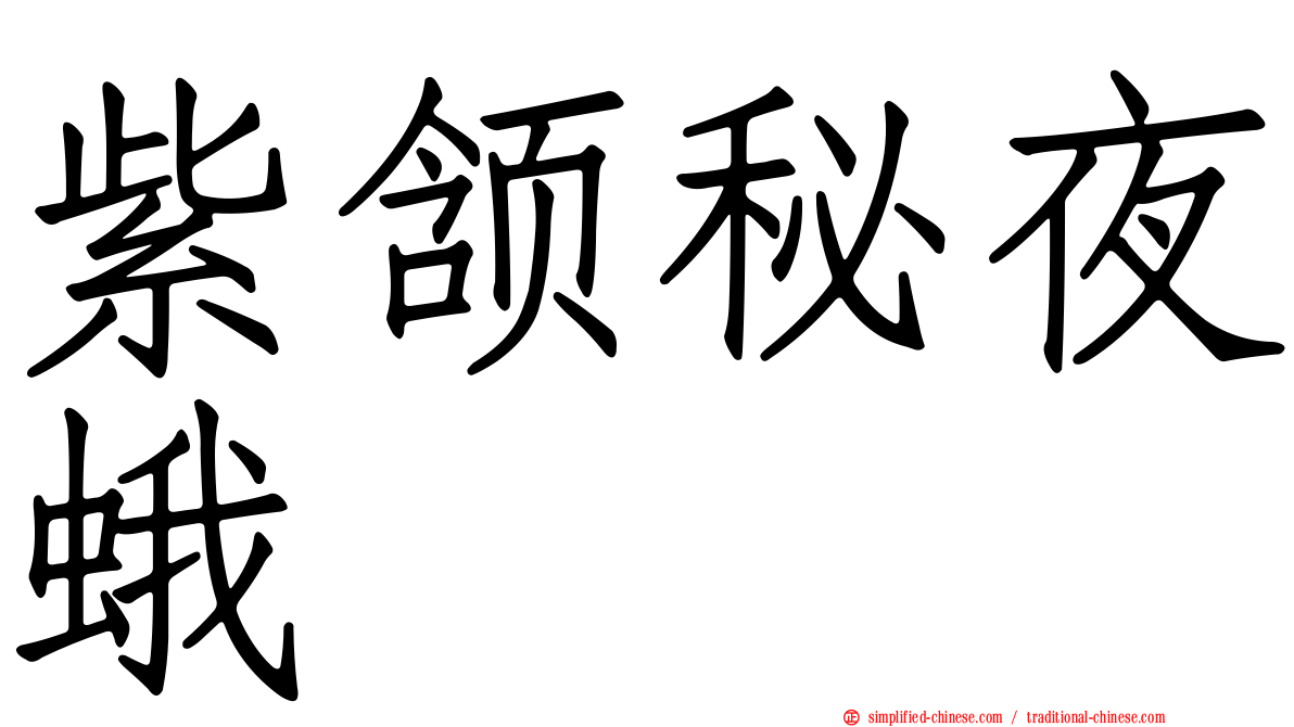 紫颔秘夜蛾