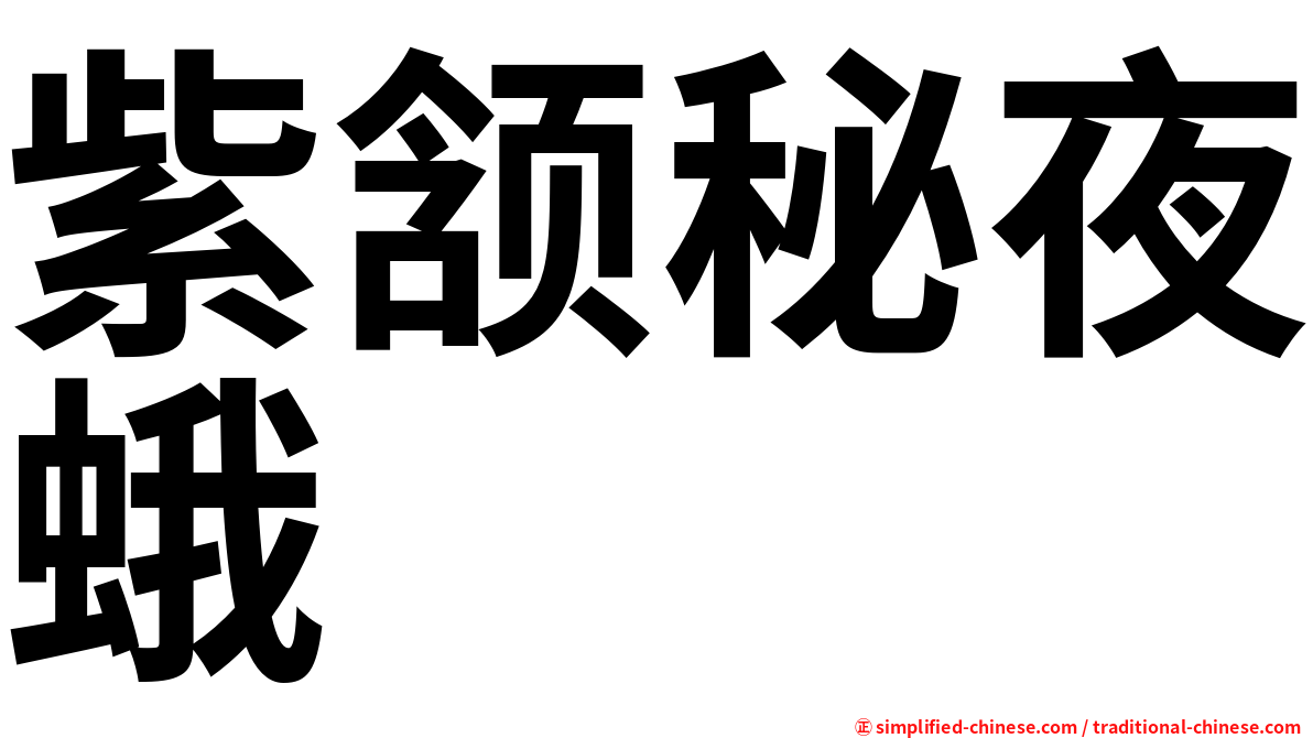 紫颔秘夜蛾