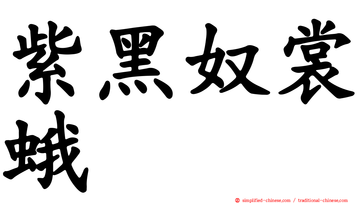 紫黑奴裳蛾
