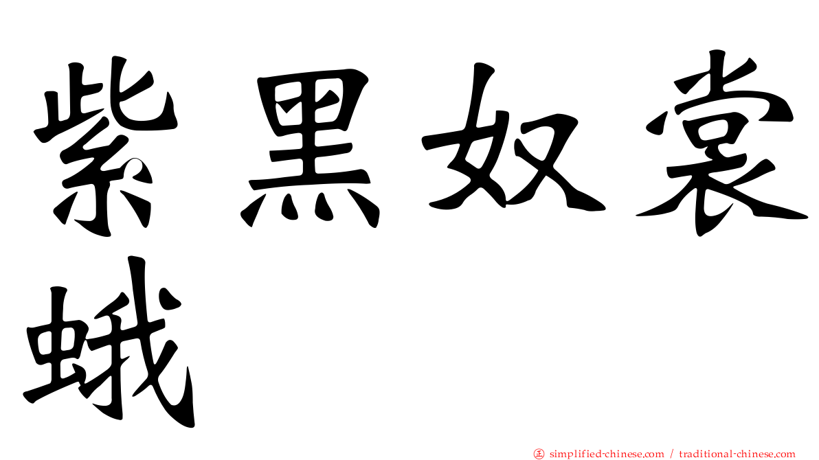紫黑奴裳蛾