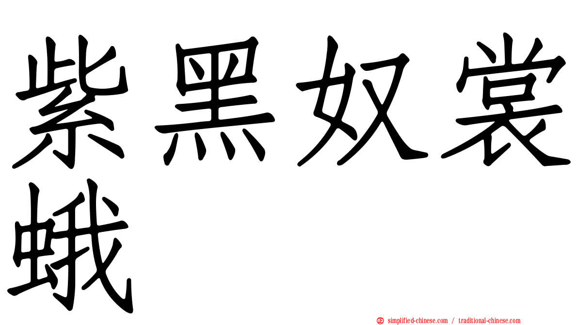 紫黑奴裳蛾
