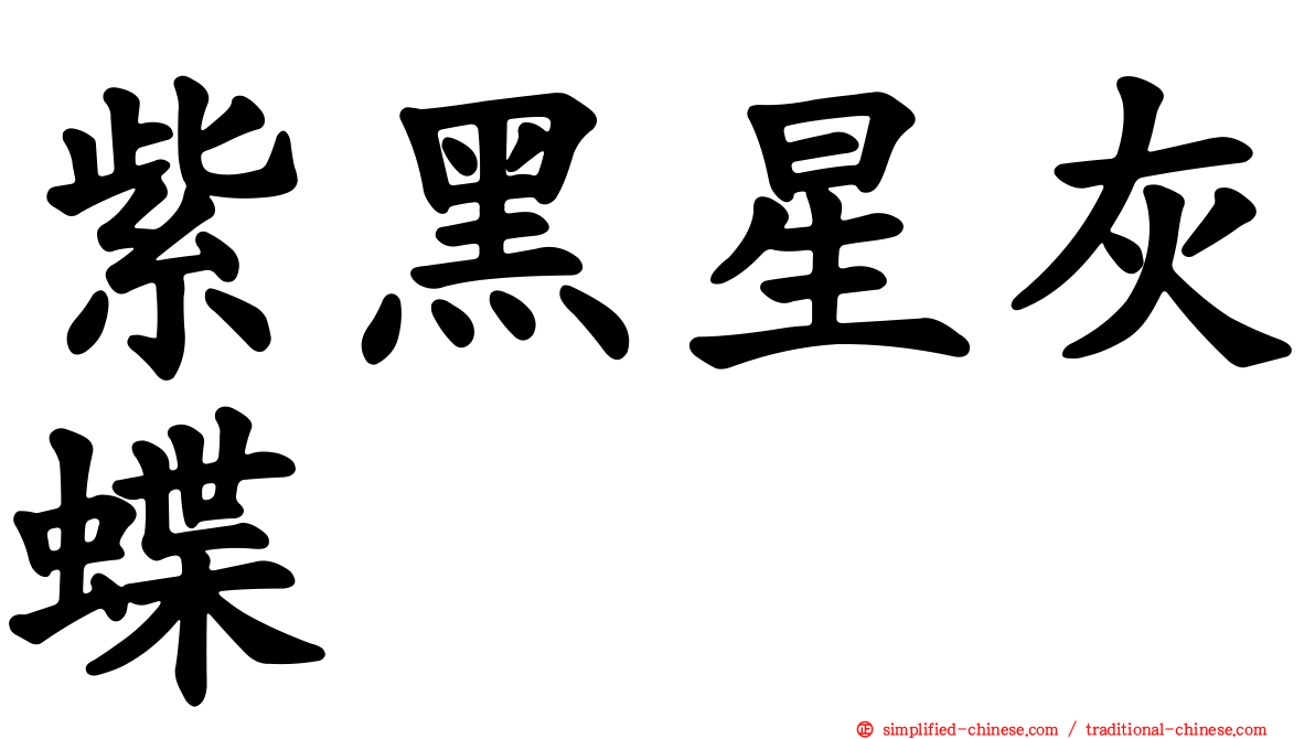 紫黑星灰蝶
