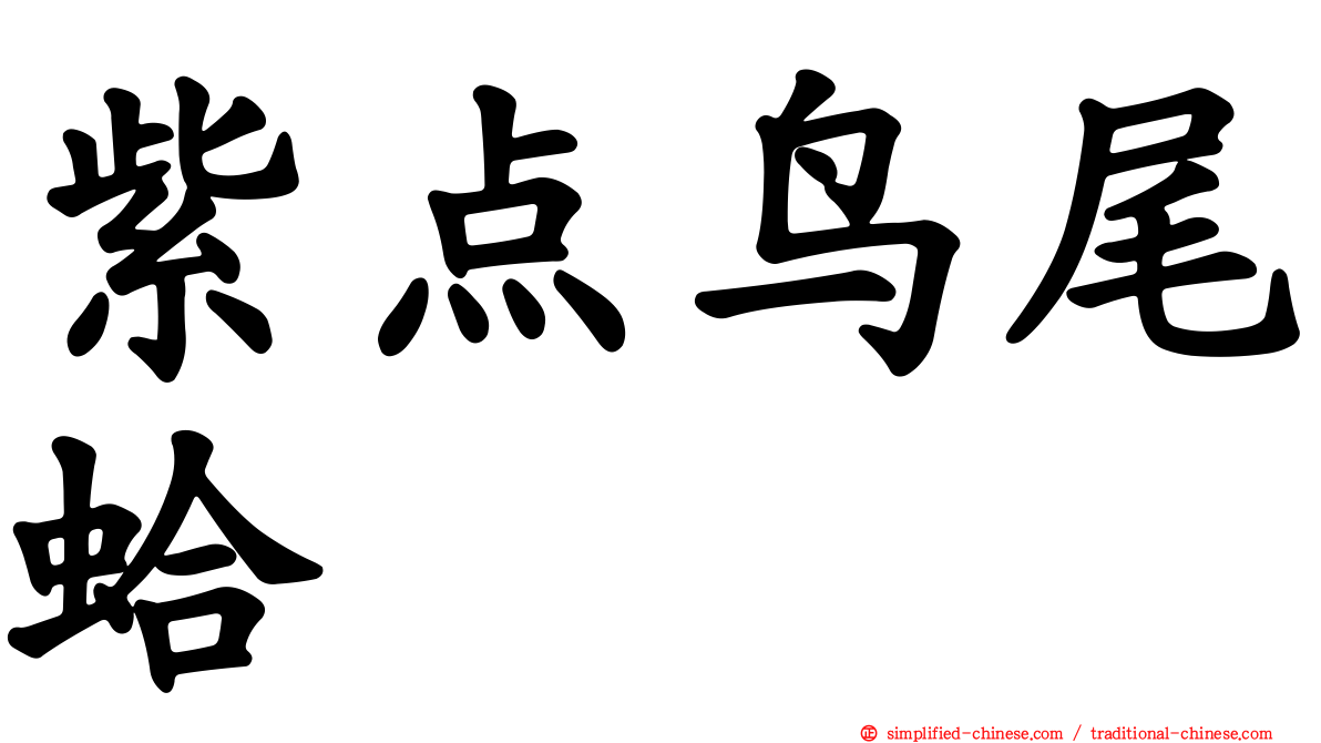 紫点鸟尾蛤