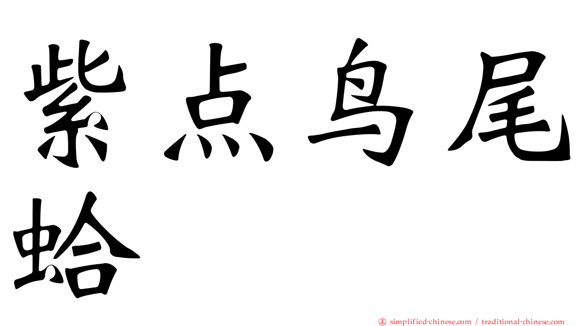 紫点鸟尾蛤
