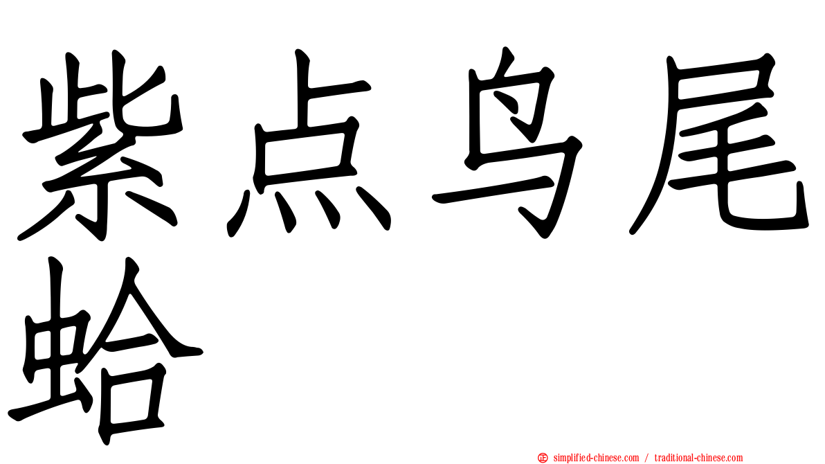 紫点鸟尾蛤