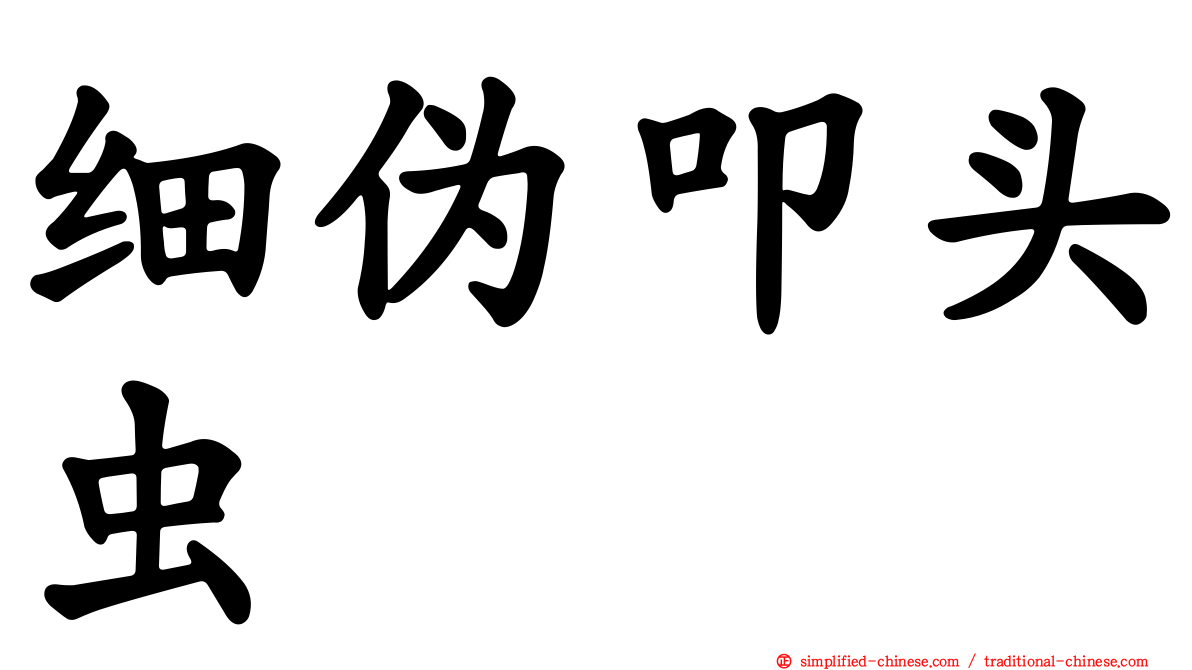 细伪叩头虫