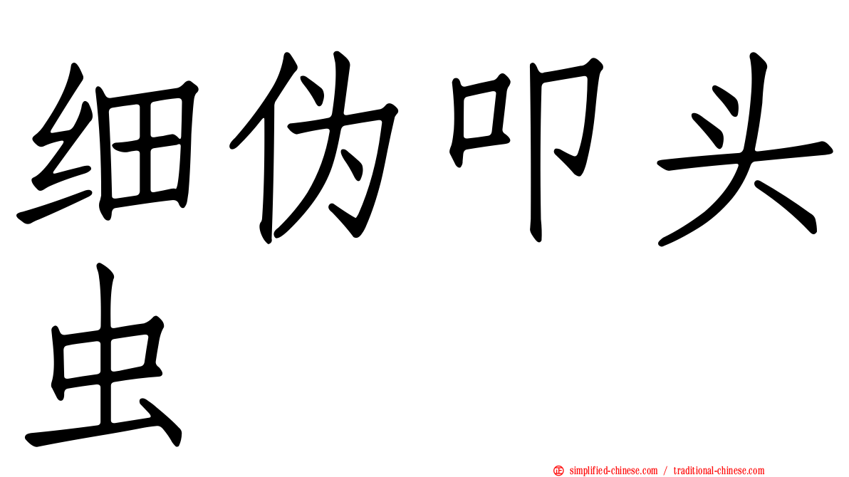 细伪叩头虫