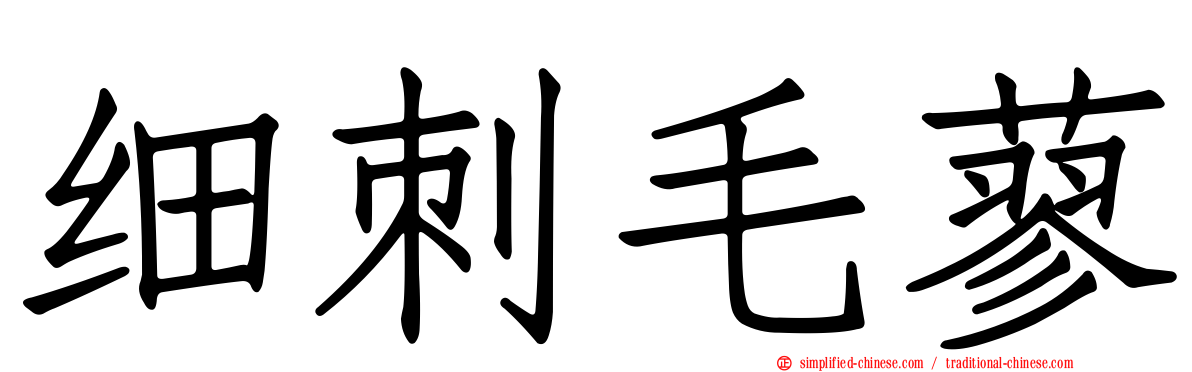 细刺毛蓼