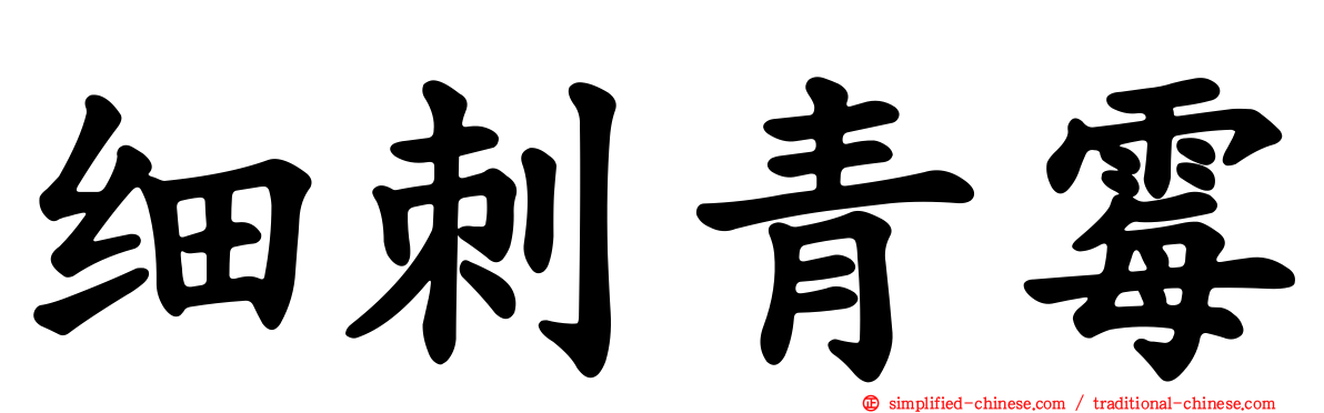 细刺青霉