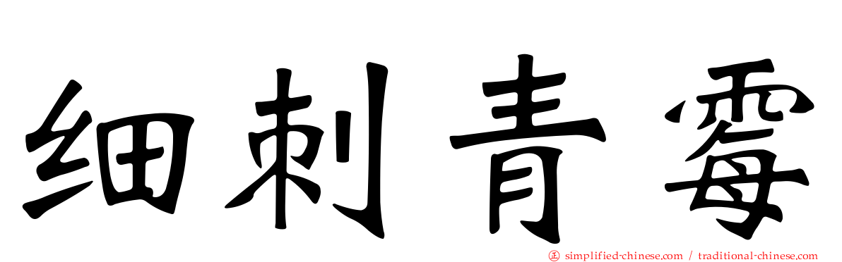 细刺青霉