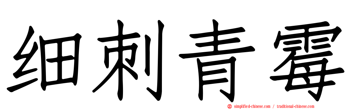 细刺青霉