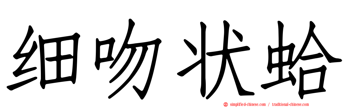 细吻状蛤