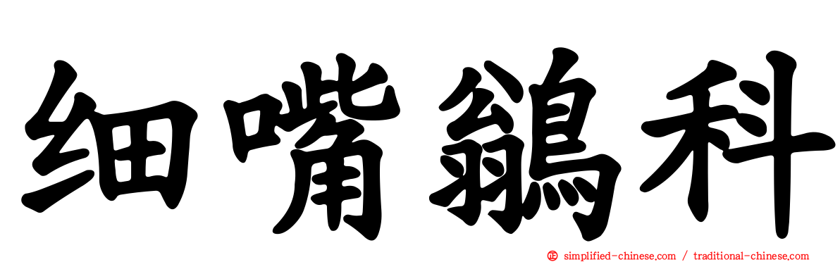 细嘴鹟科