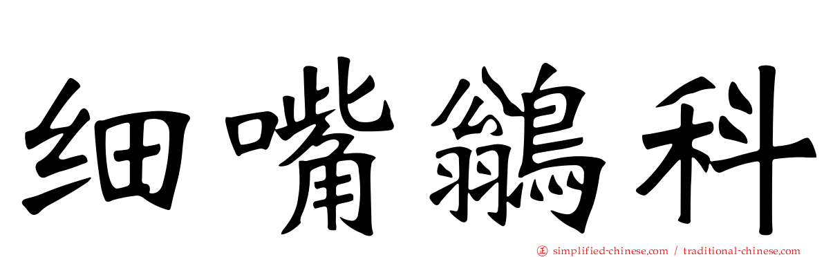 细嘴鹟科