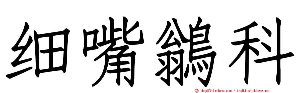 细嘴鹟科