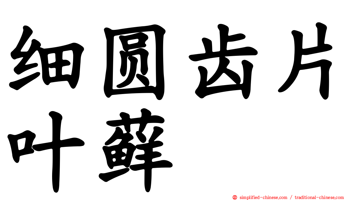 细圆齿片叶藓