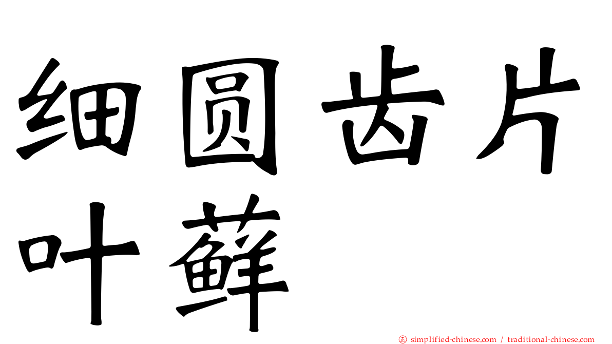 细圆齿片叶藓