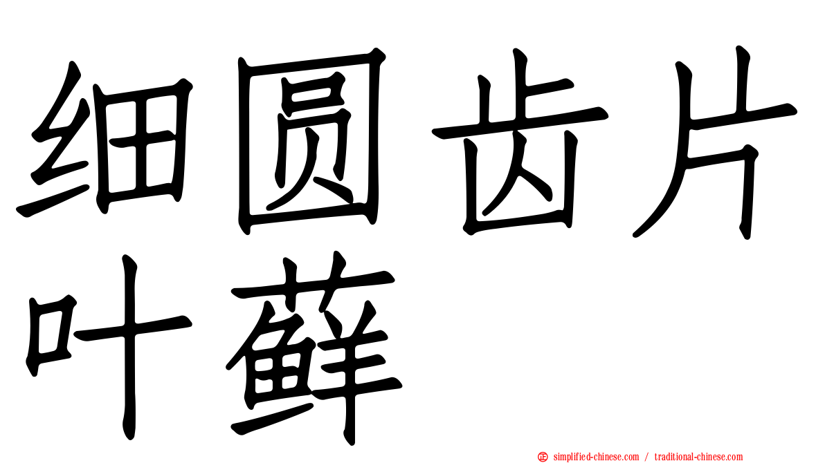 细圆齿片叶藓