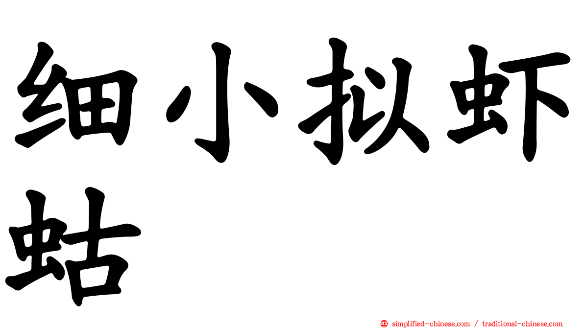 细小拟虾蛄