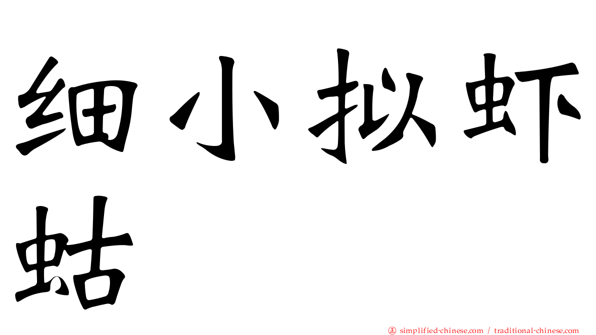 细小拟虾蛄