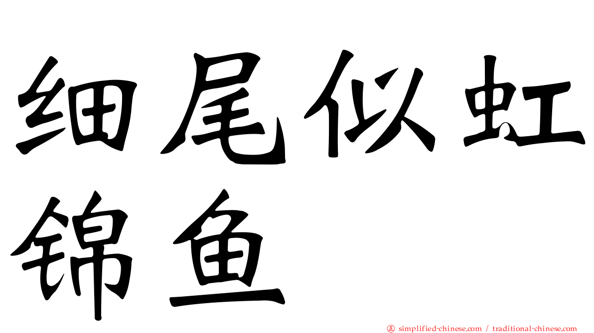 细尾似虹锦鱼