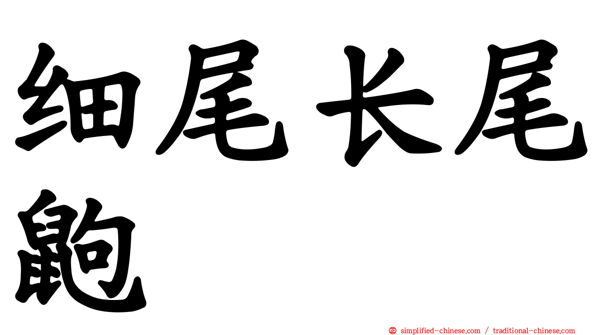 细尾长尾鼩