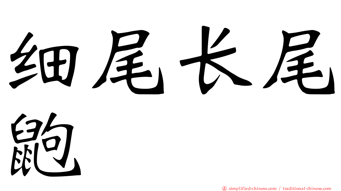 细尾长尾鼩