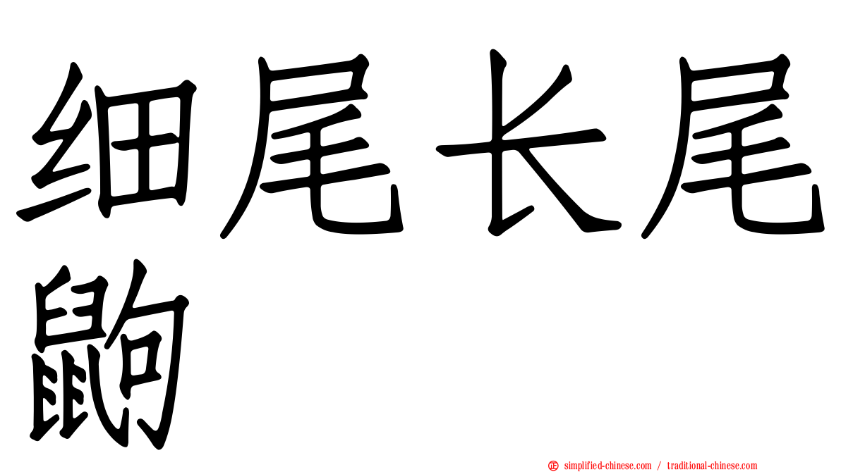 细尾长尾鼩