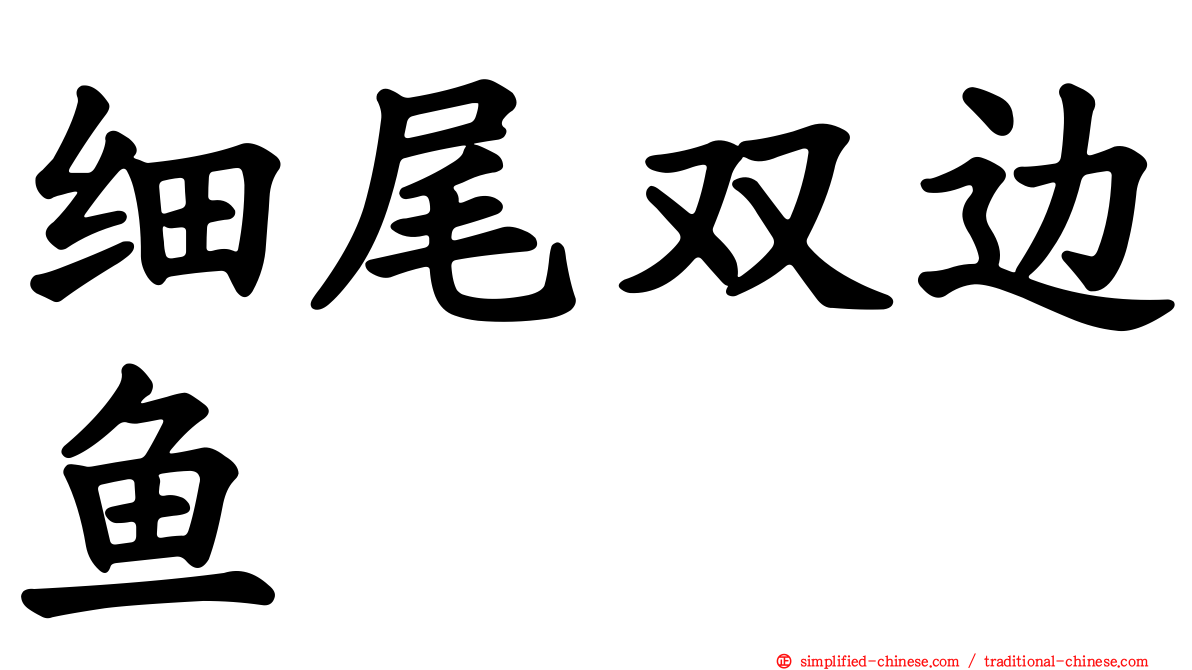 细尾双边鱼
