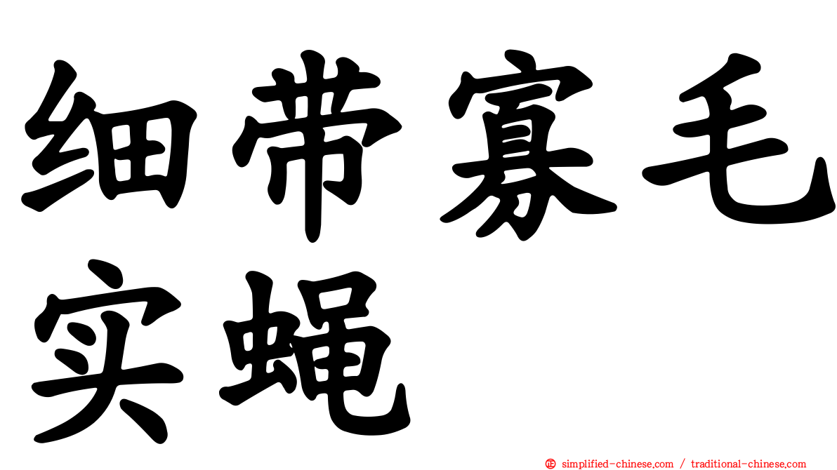 细带寡毛实蝇