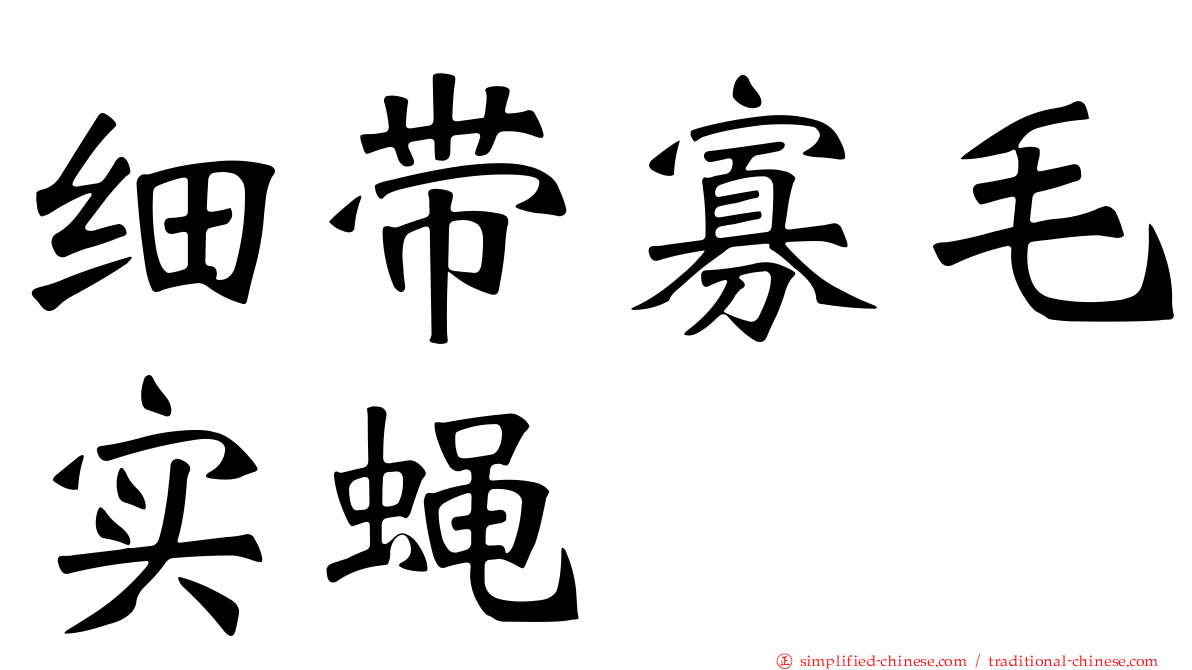 细带寡毛实蝇