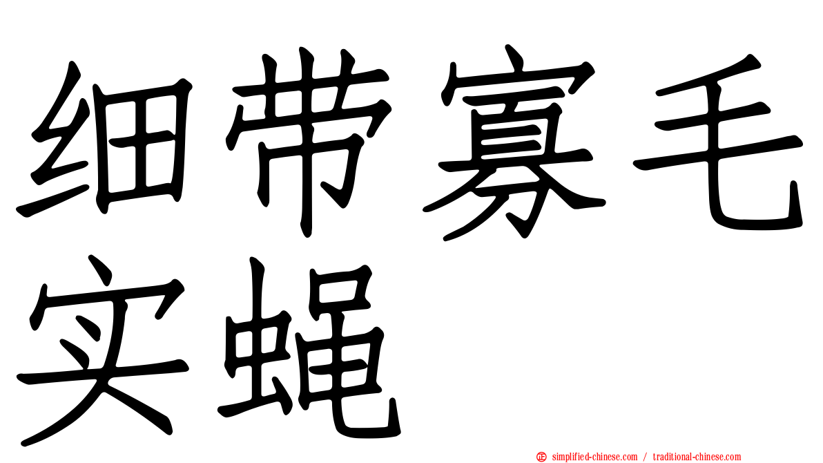 细带寡毛实蝇