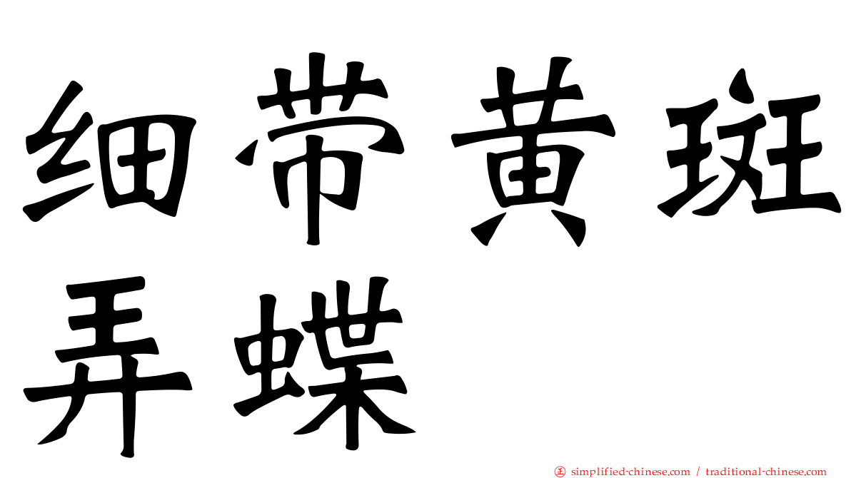 细带黄斑弄蝶