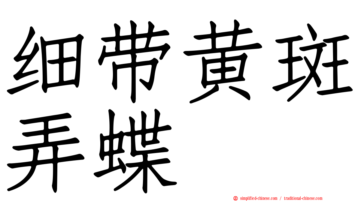 细带黄斑弄蝶