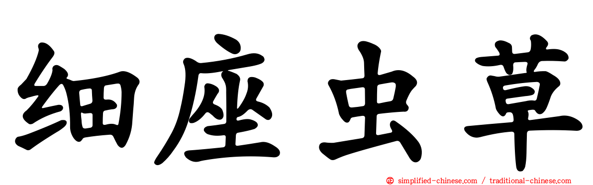 细座虫草