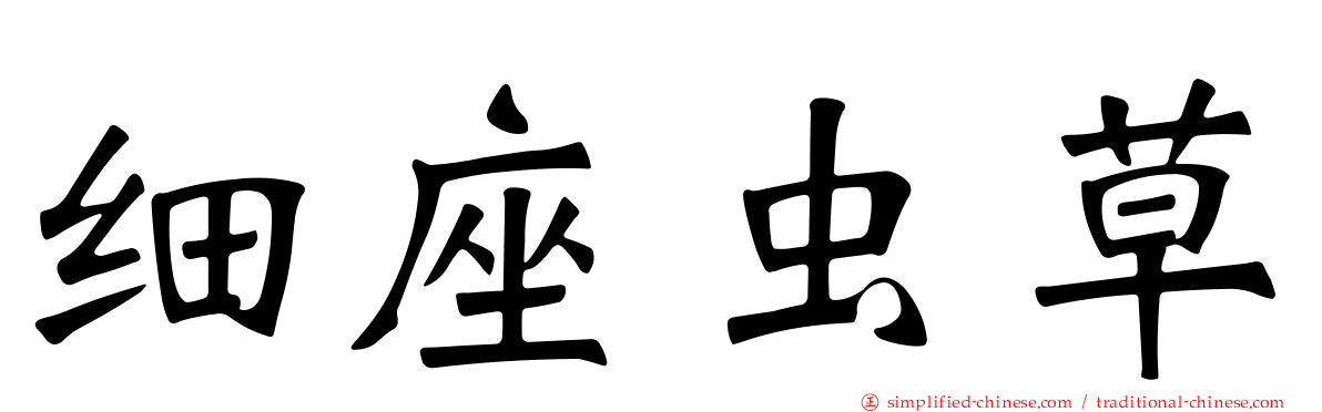 细座虫草