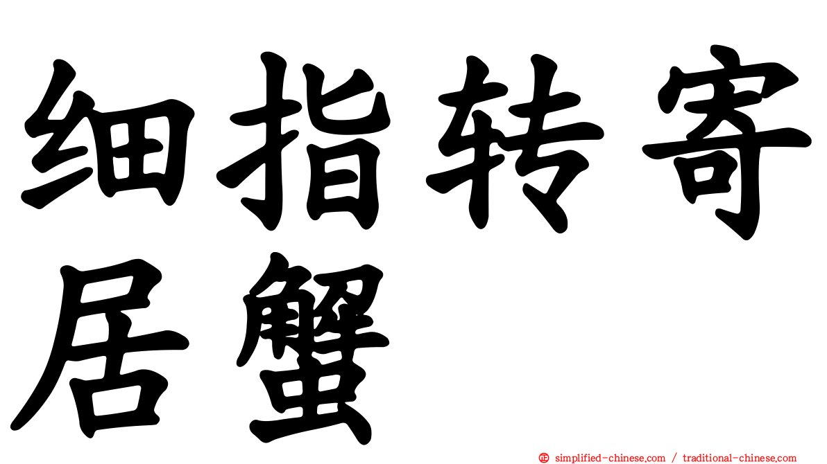 细指转寄居蟹