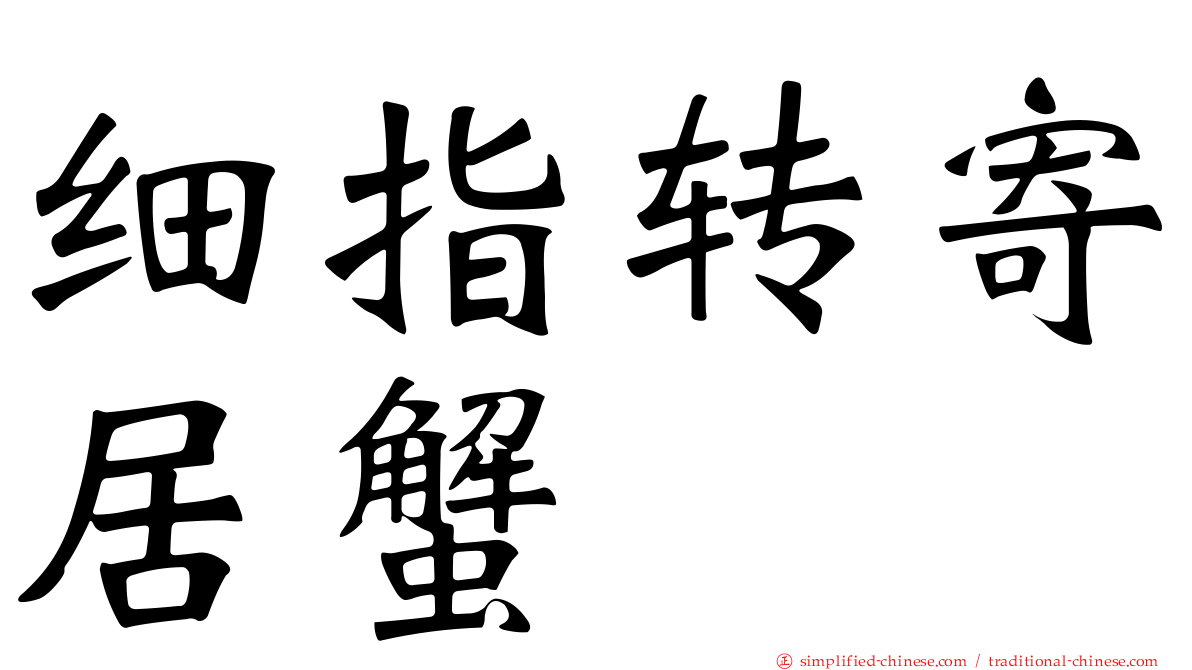 细指转寄居蟹