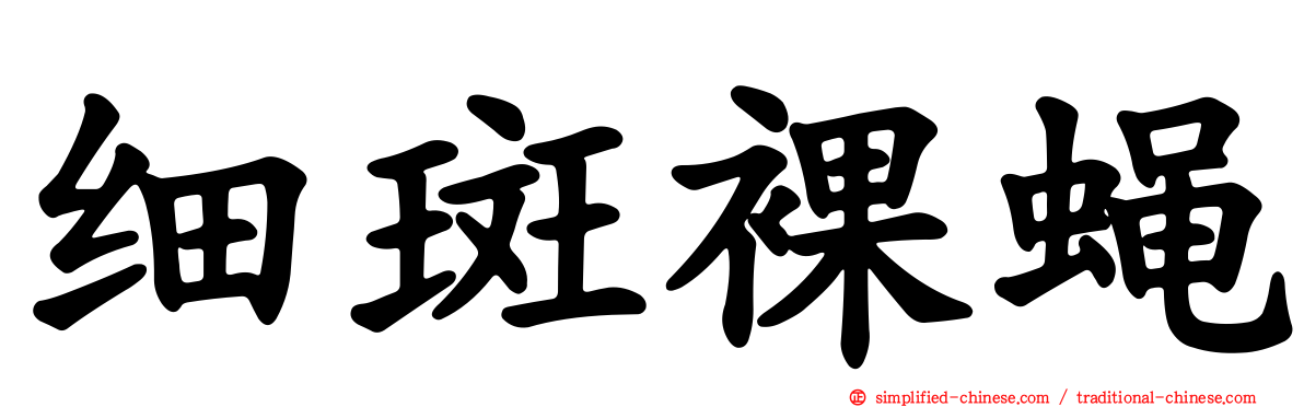 细斑裸蝇