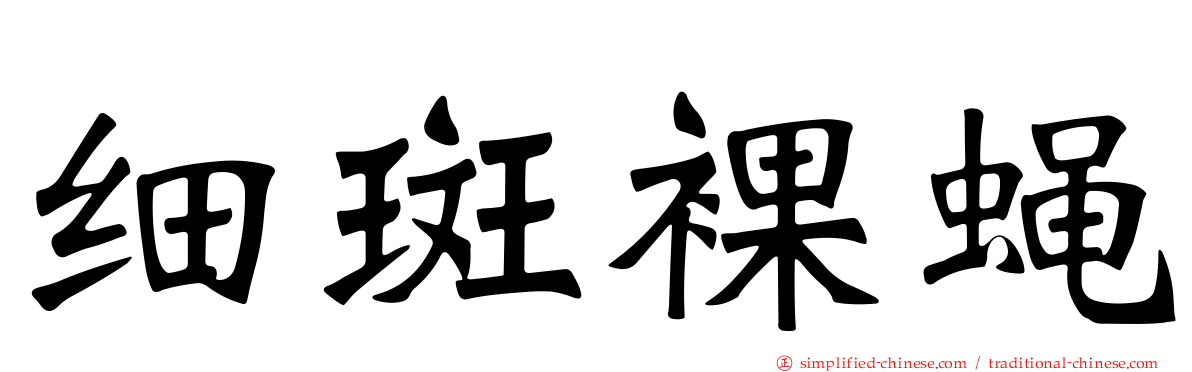 细斑裸蝇