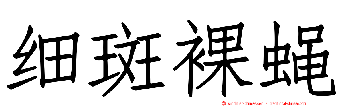细斑裸蝇