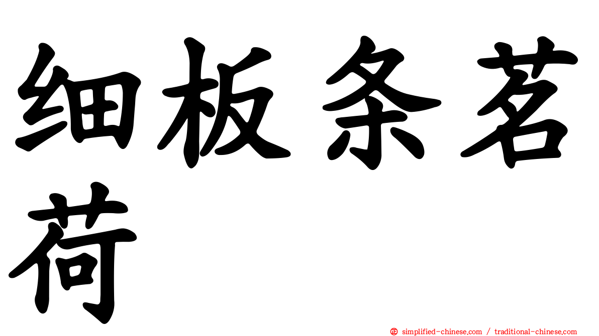 细板条茗荷