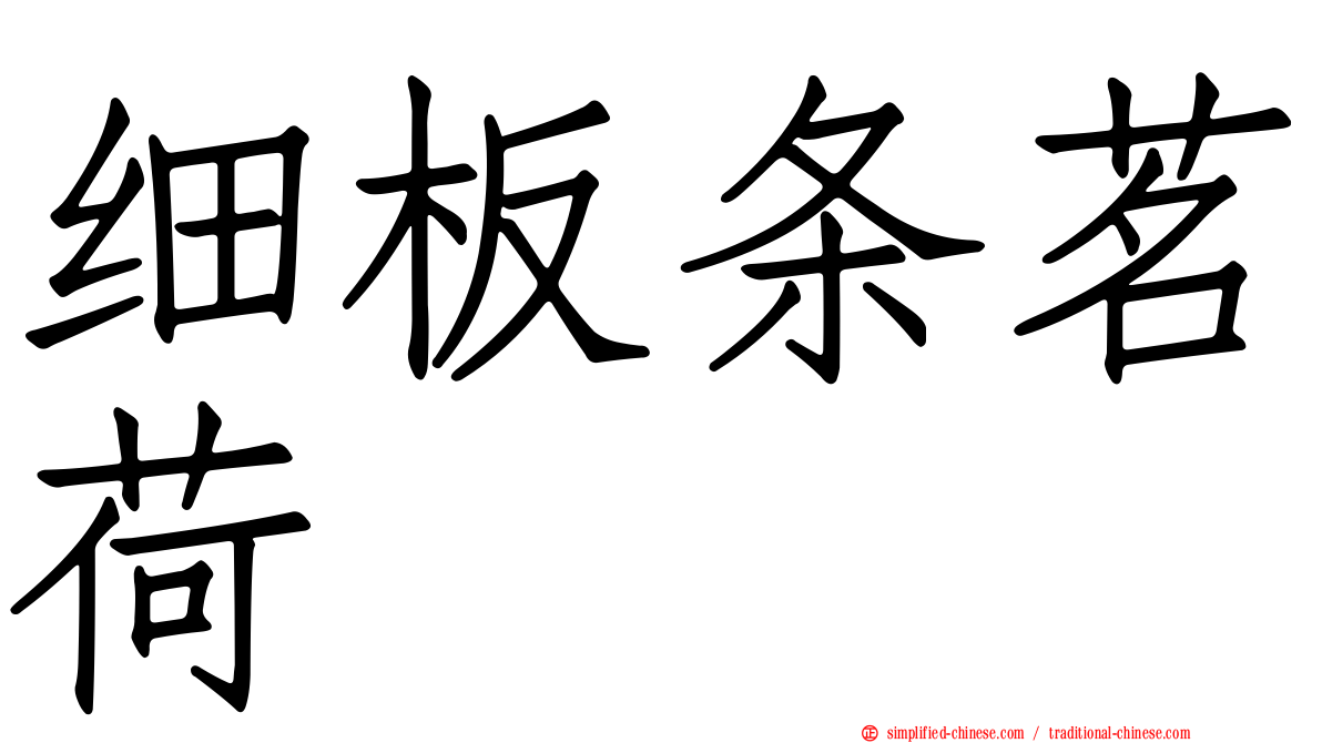细板条茗荷