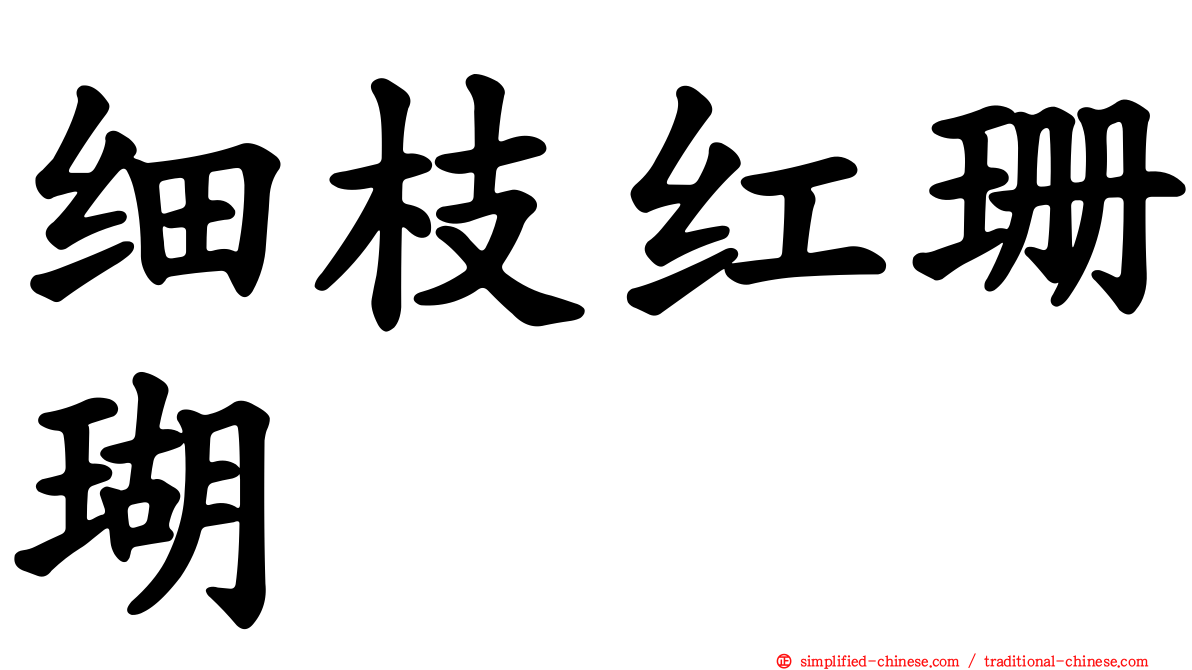细枝红珊瑚