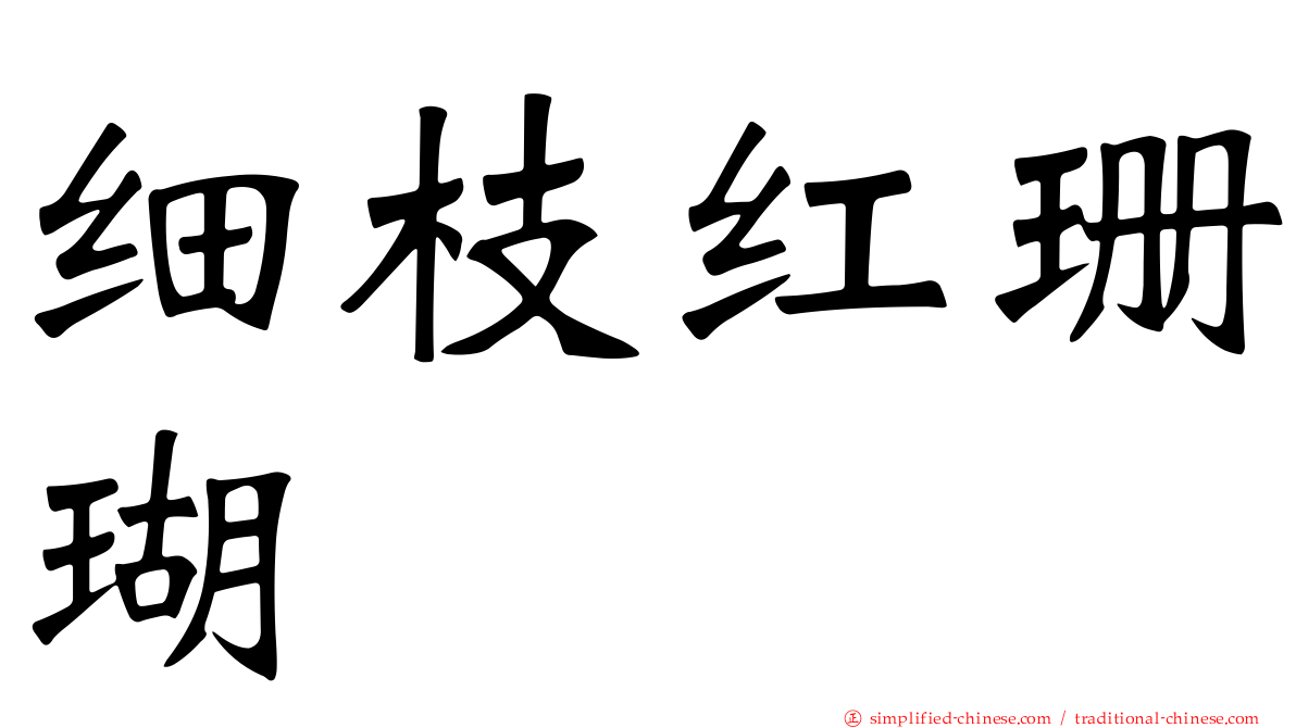 细枝红珊瑚